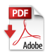 pdf download icon